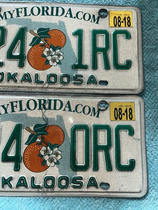 Could Florida 2 Florida License Plate Double Orange Graphic 2018 L24 0RC and 1RC His Her Tags